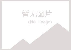 宁夏山柳金属有限公司